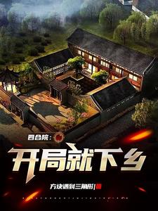四合院:开局就下乡