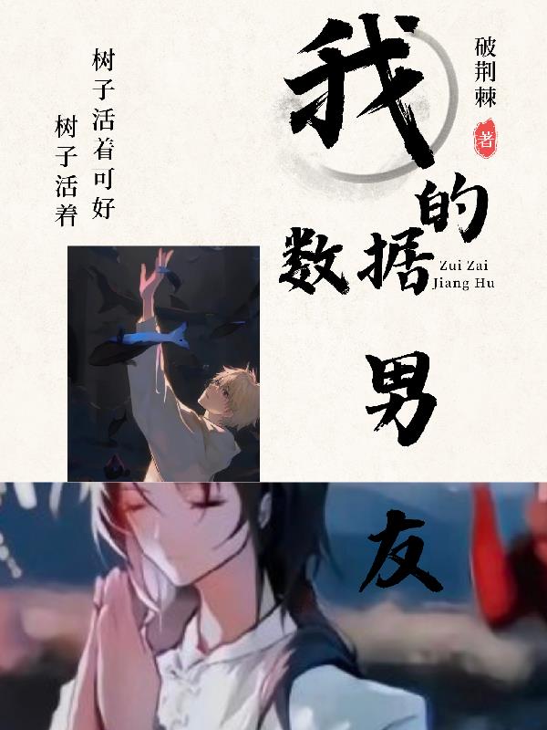 我的数据男友