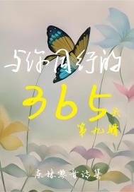 与你同行的365天：第九辑